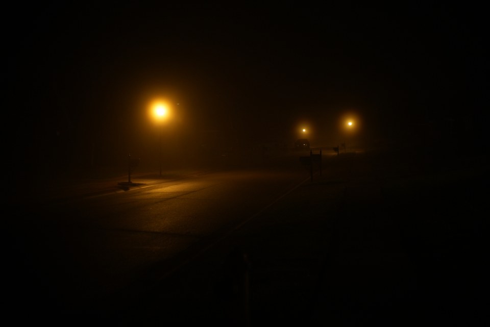 DSC02098.jpg