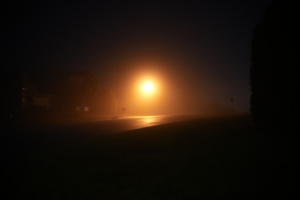 DSC02290.jpg