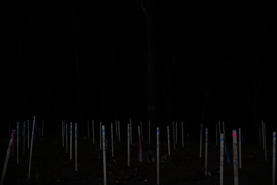 DSC02366.jpg