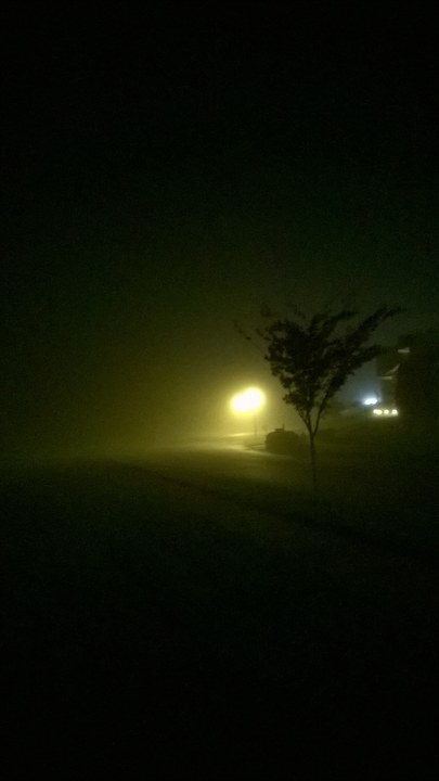 WP_20251107_077.jpg