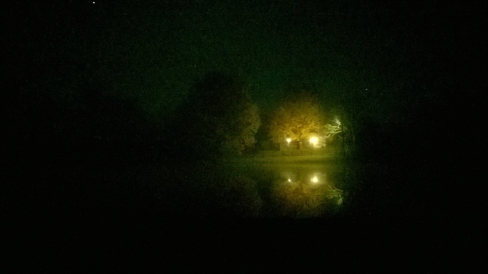 WP_20251108_005.jpg