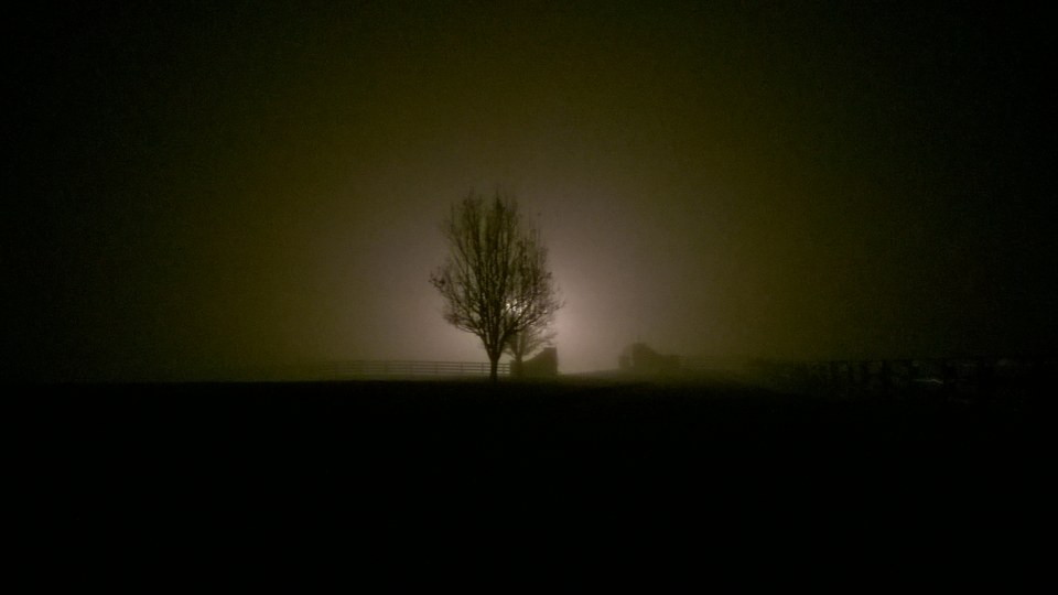 WP_20251123_022.jpg